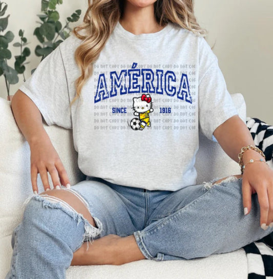 HK America (Blue Lettering) Shirt / Sweater